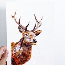 My Project: The Stag. Un projet de Illustration traditionnelle, Aquarelle, Dessin réaliste et Illustration naturaliste de sandralenore - 21.08.2021