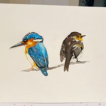 My project in Artistic Watercolor Techniques for Illustrating Birds course. Traditional illustration, Watercolor Painting, Realistic Drawing, and Naturalistic Illustration project by Pamela Schwartz - 09.02.2021