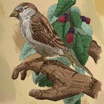 Mi Proyecto del curso: Ilustración naturalista con bolígrafo. Traditional illustration, Drawing, Realistic Drawing, and Naturalistic Illustration project by Miguel - 09.04.2021