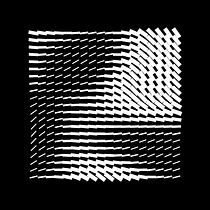 Creative Coding: Making Visuals with JavaScript course. Un projet de Motion design, Multimédia , et JavaScript de Bruno Imbrizi - 16.08.2021