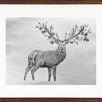 Apple horned Dear  Ein Projekt aus dem Bereich Traditionelle Illustration, Bleistiftzeichnung, Zeichnung, Realistische Zeichnung, Artistische Zeichnung und Illustration mit Tinte von Ming Sirakowit - 05.09.2021