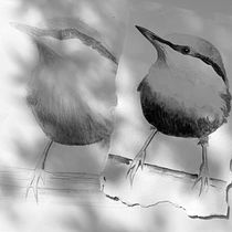 My project in Artistic Watercolor Techniques for Illustrating Birds course. Traditional illustration, Watercolor Painting, Realistic Drawing, and Naturalistic Illustration project by Claire Whittaker - 09.05.2021