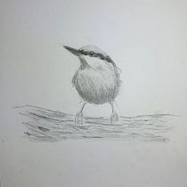 My project in Artistic Watercolor Techniques for Illustrating Birds course. Traditional illustration, Watercolor Painting, Realistic Drawing, and Naturalistic Illustration project by Patty Marshall - 09.05.2021
