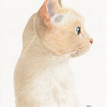 Mi Proyecto del curso: Ilustración científica de animales en acuarela. Traditional illustration, Watercolor Painting, Realistic Drawing, and Naturalistic Illustration project by Sandra Amelines - 09.05.2021