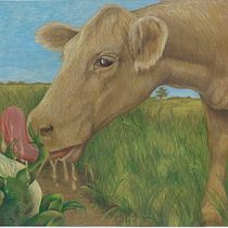 My project in Animal Characters in Watercolor for Children’s Books course. Traditional illustration, Fine Arts, Painting, Drawing, Watercolor Painting, Children's Illustration, and Narrative project by randomreflections - 09.06.2021