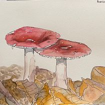 Selected Botanical Sketches. Ilustração tradicional, Esboçado, Desenho, Pintura em aquarela, Ilustração botânica, e Sketchbook projeto de tessa t - 06.09.2021