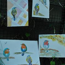 My project in Artistic Watercolor Techniques for Illustrating Birds course. Traditional illustration, Watercolor Painting, Realistic Drawing, and Naturalistic Illustration project by terilmu - 09.06.2021