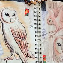 Barn Owl Sketch - Watercolor, color pencils & ink.. Un projet de Illustration traditionnelle, Collage, Carnet de croquis et Illustration naturaliste de Mariana Schaar - 06.09.2021