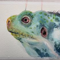 My project in Marine Universe Illustration in Watercolor course. Un projet de Illustration traditionnelle, Peinture, Aquarelle et Illustration naturaliste de Maike Maaßen - 17.10.2021