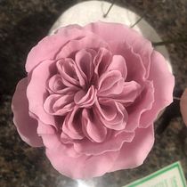 Meu projeto do curso: Flores de açúcar para cake design. Un progetto di Design e DIY di Eliene Fernandes - 08.09.2021