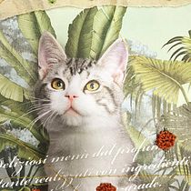 Il mio progetto del corso: Tecniche di ricamo sperimentale su carta Ein Projekt aus dem Bereich Bildende Künste, Collage und Stickerei von Elena Marchionni - 09.09.2021