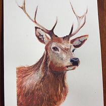 My project in Expressive Animal Portraits in Watercolor course. Un projet de Illustration traditionnelle, Aquarelle, Dessin réaliste et Illustration naturaliste de Helen Russell - 01.09.2021