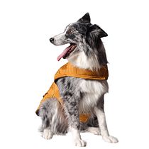 Mi Proyecto del curso: Fotografía lifestyle de perros. Un projet de Photographie, Photographie de portrait, Photographie pour Instagram, Photographie documentaire, Photographie lifest , et le de Wendy Espinoza - 10.09.2021