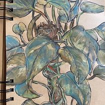Mon projet du cours : Carnet de croquis botanique : une approche méditative. Ilustração tradicional, Esboçado, Desenho, Pintura em aquarela, Ilustração botânica, e Sketchbook projeto de Véka - 10.09.2021