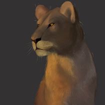 Mi Proyecto del curso: Ilustración naturalista de animales con Procreate. Un proyecto de Ilustración tradicional, Ilustración digital, Dibujo realista e Ilustración naturalista				 de rodriguezmorenomaite - 10.09.2021