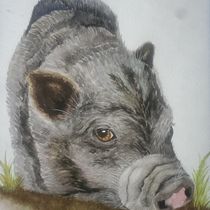 My project in Expressive Animal Portraits in Watercolor course. Un projet de Illustration traditionnelle, Aquarelle, Dessin réaliste et Illustration naturaliste de Diane Rasmusson - 12.09.2021