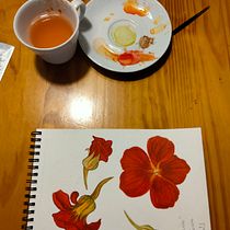 Mi Proyecto del curso: Ilustración botánica con acuarela. Ilustração tradicional, Artes plásticas, Pintura, Desenho, Pintura em aquarela e Ilustração botânica projeto de artesamixcs - 10.09.2021