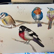 My project in Artistic Watercolor Techniques for Illustrating Birds course. Traditional illustration, Watercolor Painting, Realistic Drawing, and Naturalistic Illustration project by laketrek - 09.10.2021