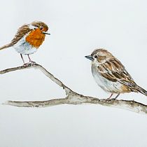 My project in Artistic Watercolor Techniques for Illustrating Birds course. Traditional illustration, Watercolor Painting, Realistic Drawing, and Naturalistic Illustration project by Daniëlle Rozeboom - 08.06.2021