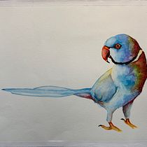 My project in Artistic Watercolor Techniques for Illustrating Birds course. Traditional illustration, Watercolor Painting, Realistic Drawing, and Naturalistic Illustration project by Maike Maaßen - 09.11.2021