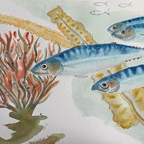 Mon projet du cours : Illustration d'univers marins à l'aquarelle. Un projet de Illustration traditionnelle, Peinture, Aquarelle et Illustration naturaliste de Diane Gauthier - 12.09.2021