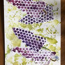 My project in Illustrating Nature: A Creative Exploration course. Traditional illustration, Painting, Drawing, Watercolor Painting, Ink Illustration, and Naturalistic Illustration project by marion.esmekramer - 09.12.2021