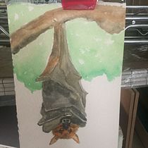 My project in Expressive Animal Portraits in Watercolor course. Un projet de Illustration traditionnelle, Aquarelle, Dessin réaliste et Illustration naturaliste de pahagar - 12.09.2021