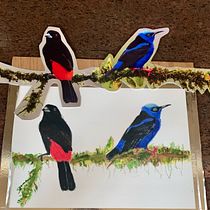 My project in Artistic Watercolor Techniques for Illustrating Birds course. Traditional illustration, Watercolor Painting, Realistic Drawing, and Naturalistic Illustration project by slheelan - 09.13.2021