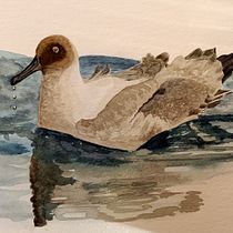 My project in Artistic Watercolor Techniques for Illustrating Birds course. Traditional illustration, Watercolor Painting, Realistic Drawing, and Naturalistic Illustration project by Maggie Dawson - 08.31.2021