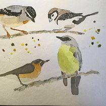 My project in Artistic Watercolor Techniques for Illustrating Birds course. Traditional illustration, Watercolor Painting, Realistic Drawing, and Naturalistic Illustration project by Lesley Dimmock - 09.13.2021
