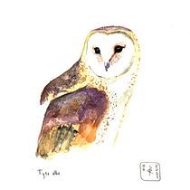Tyto alba. Traditional illustration, Watercolor Painting, Realistic Drawing, and Naturalistic Illustration project by Rune Davino-Collins - 09.06.2021