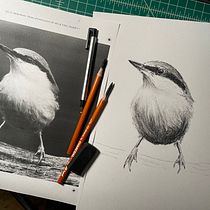My project in Artistic Watercolor Techniques for Illustrating Birds course. Traditional illustration, Watercolor Painting, Realistic Drawing, and Naturalistic Illustration project by David Jenne - 09.13.2021