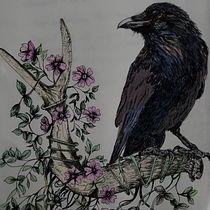 My project in Naturalist Illustration with Ballpoint Pen  course. Traditional illustration, Drawing, Realistic Drawing, and Naturalistic Illustration project by Sue Higgerson - 09.13.2021