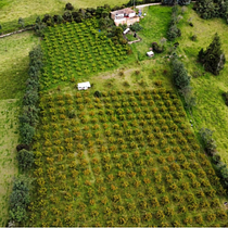 Mi Proyecto del curso: Introducción a la fotografía aérea con drones. Fotografia, Vídeo, e Fotografia em exteriores projeto de jorgeeduardo_castillo - 11.09.2021