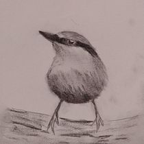 My project in Artistic Watercolor Techniques for Illustrating Birds course. Traditional illustration, Watercolor Painting, Realistic Drawing, and Naturalistic Illustration project by Julie Roberts-Thomas - 09.14.2021