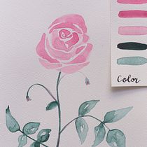 Aquarelles florales. Ilustração tradicional, Artes plásticas, Pintura, Desenho, Pintura em aquarela, Ilustração botânica, e Fotografia projeto de Mathilde Troussard - 14.09.2021
