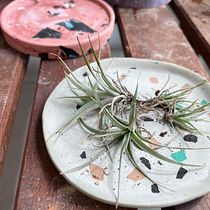 My project in Decoration Techniques with Acrylic Resin course. Un progetto di Design di accessori, Artigianato e DIY di wpchang0207 - 14.09.2021