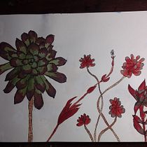 My project in Botanical Sketchbooking: A Meditative Approach course. Ilustração tradicional, Esboçado, Desenho, Pintura em aquarela, Ilustração botânica, e Sketchbook projeto de jo.skuse - 15.09.2021