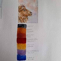 My project in Expressive Animal Portraits in Watercolor course - Sheep. Un projet de Illustration traditionnelle, Aquarelle, Dessin réaliste et Illustration naturaliste de Ally Wragg - 12.09.2021