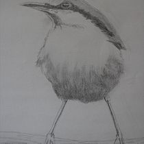 My project in Artistic Watercolor Techniques for Illustrating Birds course. Traditional illustration, Watercolor Painting, Realistic Drawing, and Naturalistic Illustration project by cindykuden - 09.10.2021