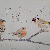 My project in Artistic Watercolor Techniques for Illustrating Birds course. Traditional illustration, Watercolor Painting, Realistic Drawing, and Naturalistic Illustration project by beckamcmanus - 09.17.2021