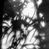 My project in Hybrid Photography for Creative Experimentation course. Photograph, Photo Retouching, Fine-Art Photograph, Film Photograph, and Self-Portrait Photograph project by Anthea Martin - 09.17.2021