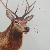 My project in Expressive Animal Portraits in Watercolor course. Un projet de Illustration traditionnelle, Aquarelle, Dessin réaliste et Illustration naturaliste de maryclarity - 17.09.2021