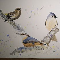 Mi Proyecto del curso: Acuarela artística para ilustración de aves. Traditional illustration, Watercolor Painting, Realistic Drawing, and Naturalistic Illustration project by Elisabeth - 09.17.2021