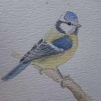 My project in Artistic Watercolor Techniques for Illustrating Birds course. Watercolor Painting project by karin_folkesson - 09.18.2021