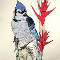 Mi Proyecto del curso: Ilustración naturalista con bolígrafo. Traditional illustration, Drawing, Realistic Drawing, and Naturalistic Illustration project by Luis Alejandro Robayo León - 09.18.2021