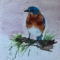 Mein Kursprojekt: Illustriere Vögel mit expressiven Aquarelltechniken. Traditional illustration, Watercolor Painting, Realistic Drawing, and Naturalistic Illustration project by valerie_83 - 09.18.2021