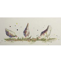 My project in Artistic Watercolor Techniques for Illustrating Birds course. Traditional illustration, Watercolor Painting, Realistic Drawing, and Naturalistic Illustration project by Sally Hay - 07.15.2021