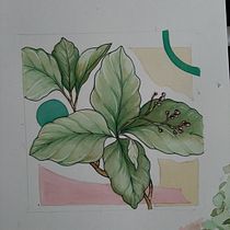 Mi Proyecto del curso: Sketchbook botánico: una aproximación meditativa. Ilustração tradicional, Esboçado, Desenho, Pintura em aquarela, Ilustração botânica, e Sketchbook projeto de Carla Antar - 19.09.2021