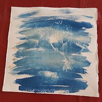 Mon projet du cours : Cyanotype : technique d'impression à la lumière. Un projet de Artisanat, Beaux Arts, Estampe, DIY , et Photographie argentique de Claire Chartier - 20.09.2021